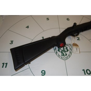 Ruger .22LR American Rimfire